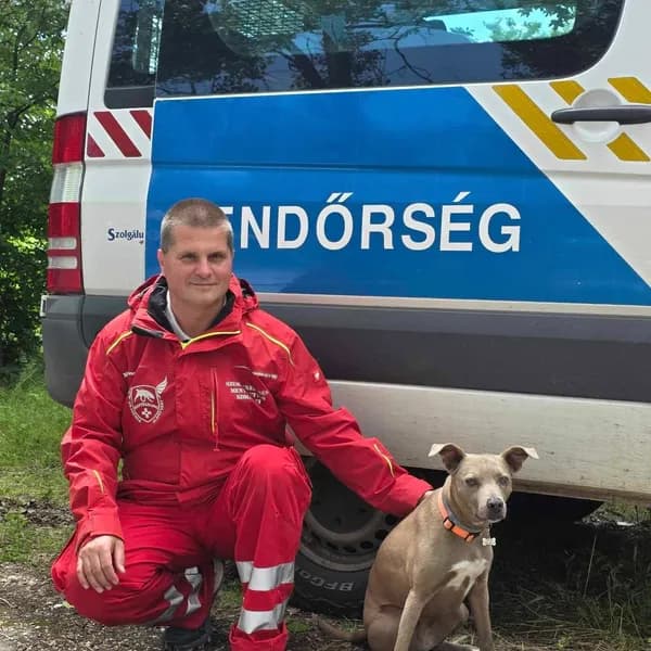 Nagy László Zsigmond